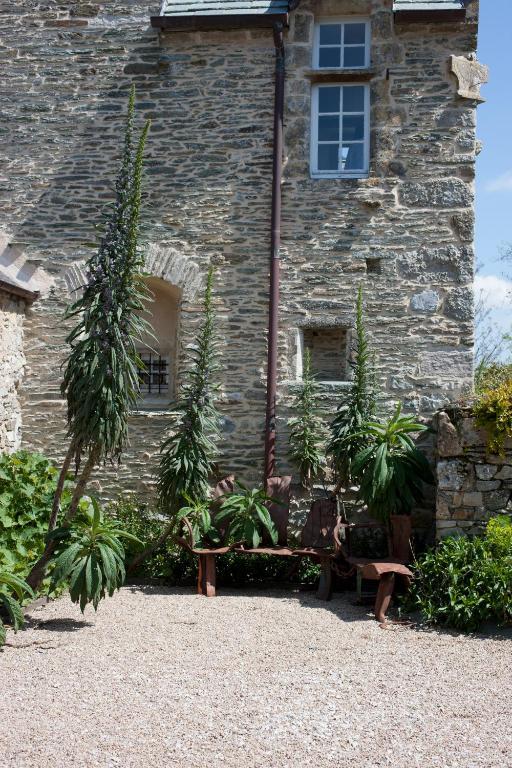 Le Manoir De La Fieffe Bed and Breakfast Cherbourg-en-Cotentin Buitenkant foto
