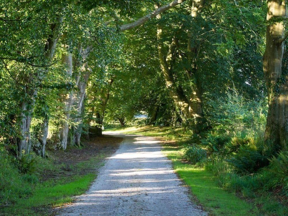 Le Manoir De La Fieffe Bed and Breakfast Cherbourg-en-Cotentin Buitenkant foto
